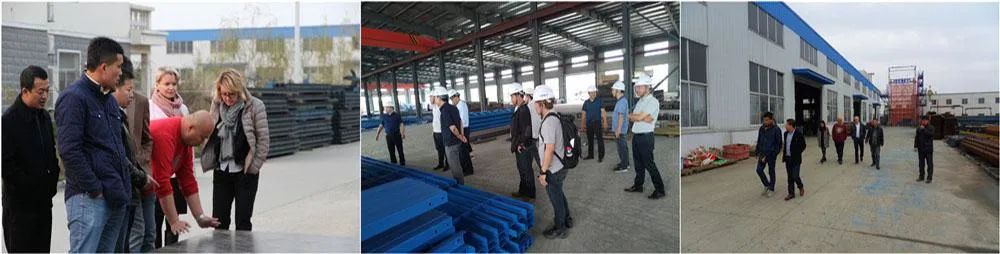 China Manufacture Customized Concrete Steel Wall/Column Formwork for Construction Similar to Doka